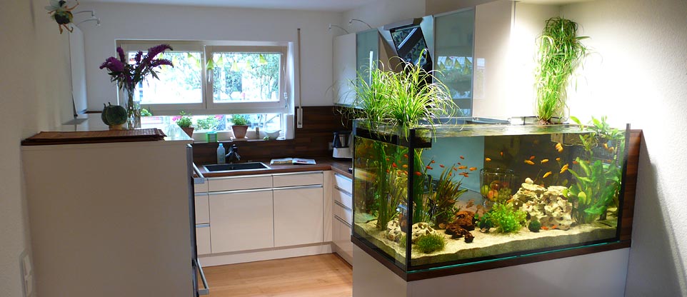 Küche mit Aquarium