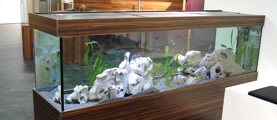 Aquarium in einem Küchenstudio in Freiburg