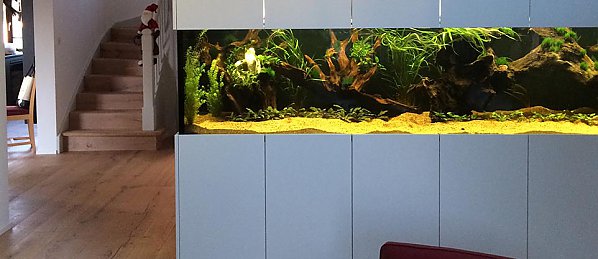 Aquarium im Wohnzimmerschrank